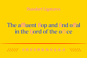 Delvona Serif Family, a Serif Font by Mulkan Nazir (Thumbnail 10 of 15)