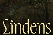 CS Lindens – Aesthetic Font, a Sans Serif Font by Craft Supply Co. (Thumbnail 1 of 8)
