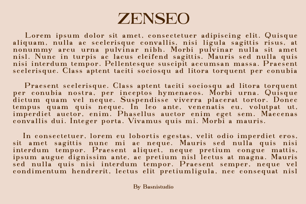 ZENSEO Clasic Serif Font, a Serif Font by Basnistudio (Photo 3 of 6)