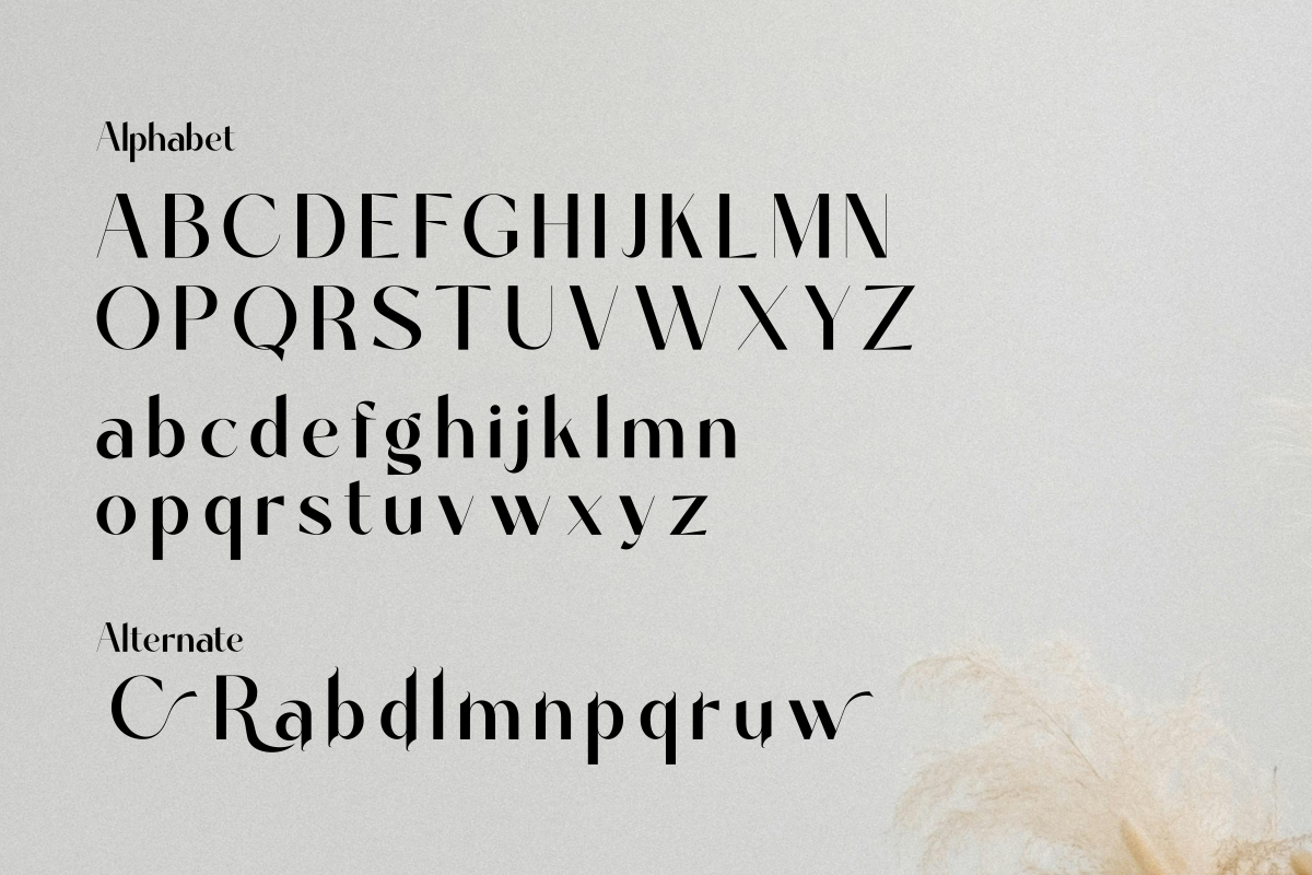 Davinca, a Sans Serif Font by Zafiratype (Photo 13 of 14)