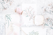 Elegant magnolias and eucalyptus, an Illustration by astelenadesign (Thumbnail 8 of 16)