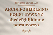 Regamel - Bold Serif Font, a Serif Font by Mbonster Design Studio (Thumbnail 10 of 12)