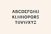 Monfishyer Sans Serif Family, a Sans Serif Font by UICreative (Thumbnail 5 of 13)