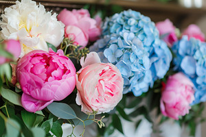 Various peonies and hydrangeas beaut, a Photo by Iftikhar Alam
