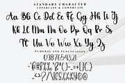 Display, a Handwritten Font by FreshTypeINK (Thumbnail 5 of 8)
