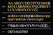 Gerino - Modern Editorial Duo, a Sans Serif Font by Valentino Vergan (Thumbnail 13 of 14)
