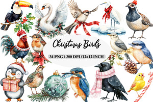 Christmas Birds Sublimation Clipart, an Illustration by Daily.Designs