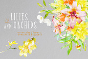 Watercolor Lilies & Orchids, an Illustration by TheSeventhDesire (Thumbnail 1 of 7)