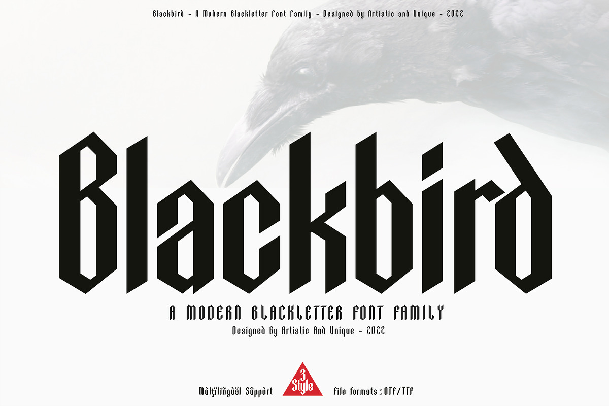 Blackbird - Blackletter font family, a Blackletter Font by Artistic & Unique (Photo 1 of 16)