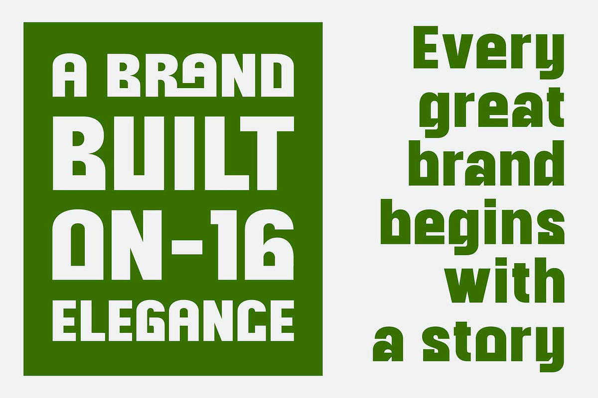 Sonbe Heavy Display, a Font by AuthenType (Photo 3 of 9)