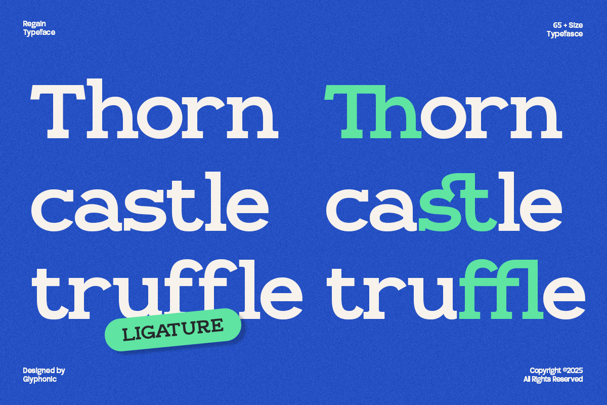 GC Regain - Display Bold Slab Serif, a Slab Serif Font by Glyphonic (Photo 14 of 15)