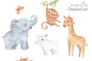 Safari, Jungle Animals