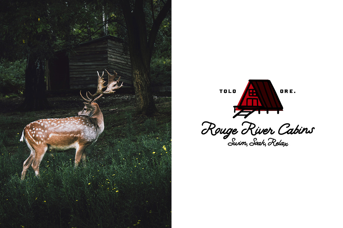 Lodge Script | Rustic & Clean preview 4