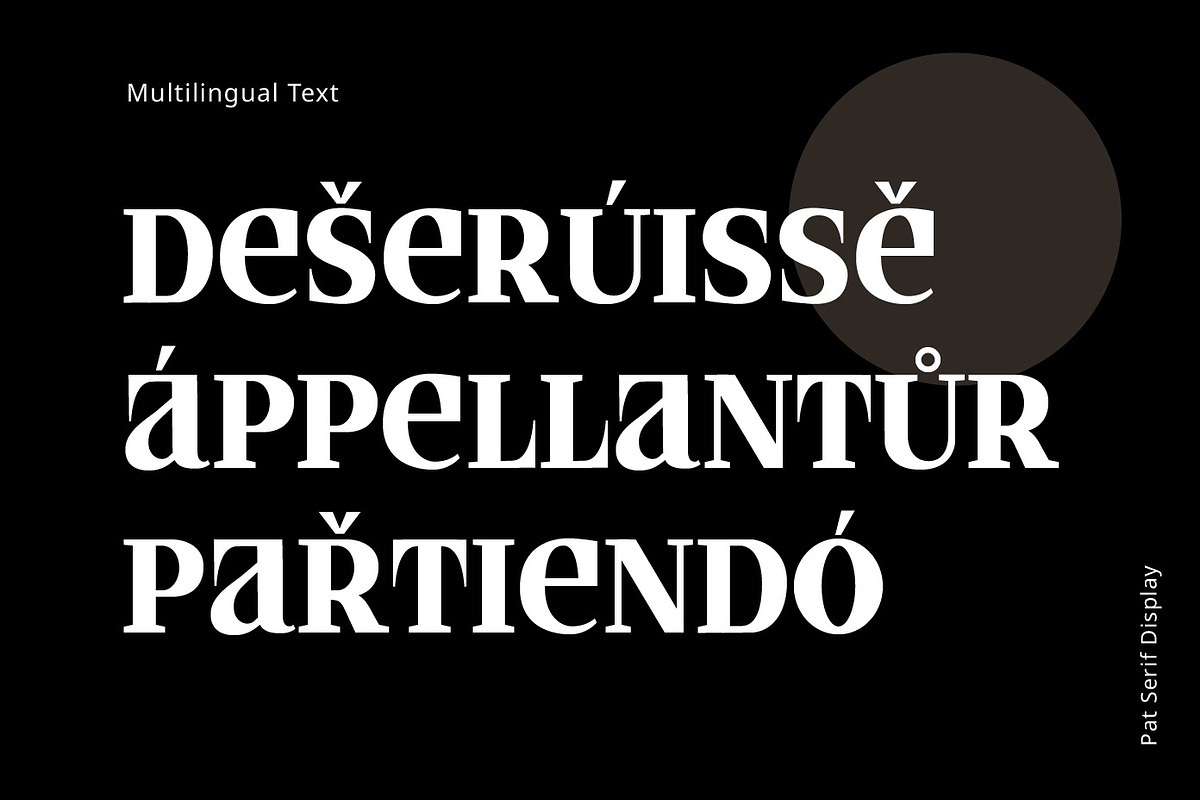 PAT Serif Display, a Serif Font by Patria Ari (P4tcreativa) (Photo 3 of 5)