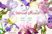Colored Irises, an Illustration by Nataliapiache (Thumbnail 1 of 2)