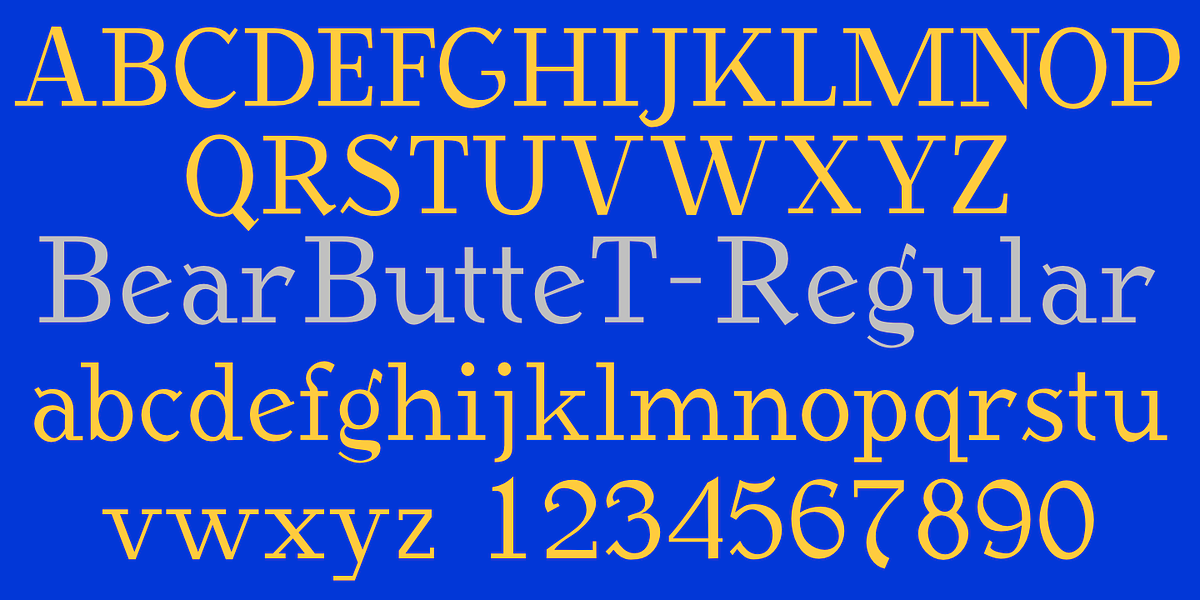 BearButteT, a Slab Serif Font by Ingrimayne Type (Photo 3 of 8)