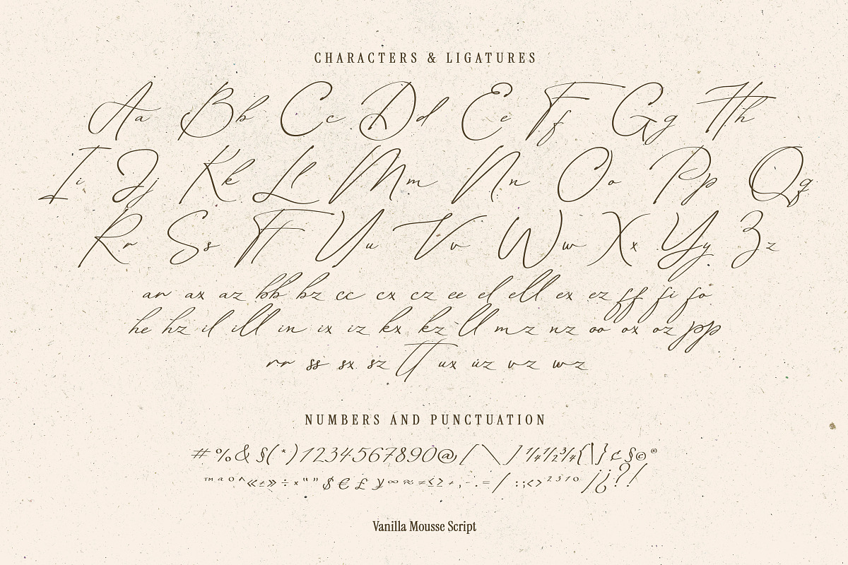 Vanilla Mousse Script, a Handwritten Font by DesignThatMatters (Photo 10 of 10)