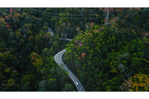 Winding road crossing lush green, a Nature Photo by Goinyk
