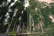 Hipster Tones - Insta Cool Actions, an Action Add-On by WeGraphics (Thumbnail 4 of 4)