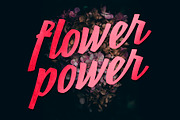 Poppy JT, a Script Font by JAM Type (Thumbnail 6 of 13)