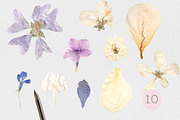 Hana Washi Botanical Paper Floral, a Pattern Graphic by mila_leev (Thumbnail 4 of 12)