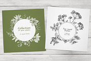 Spice Plants Collection, an Illustration by Evgeniia Lanskikh (Thumbnail 10 of 11)
