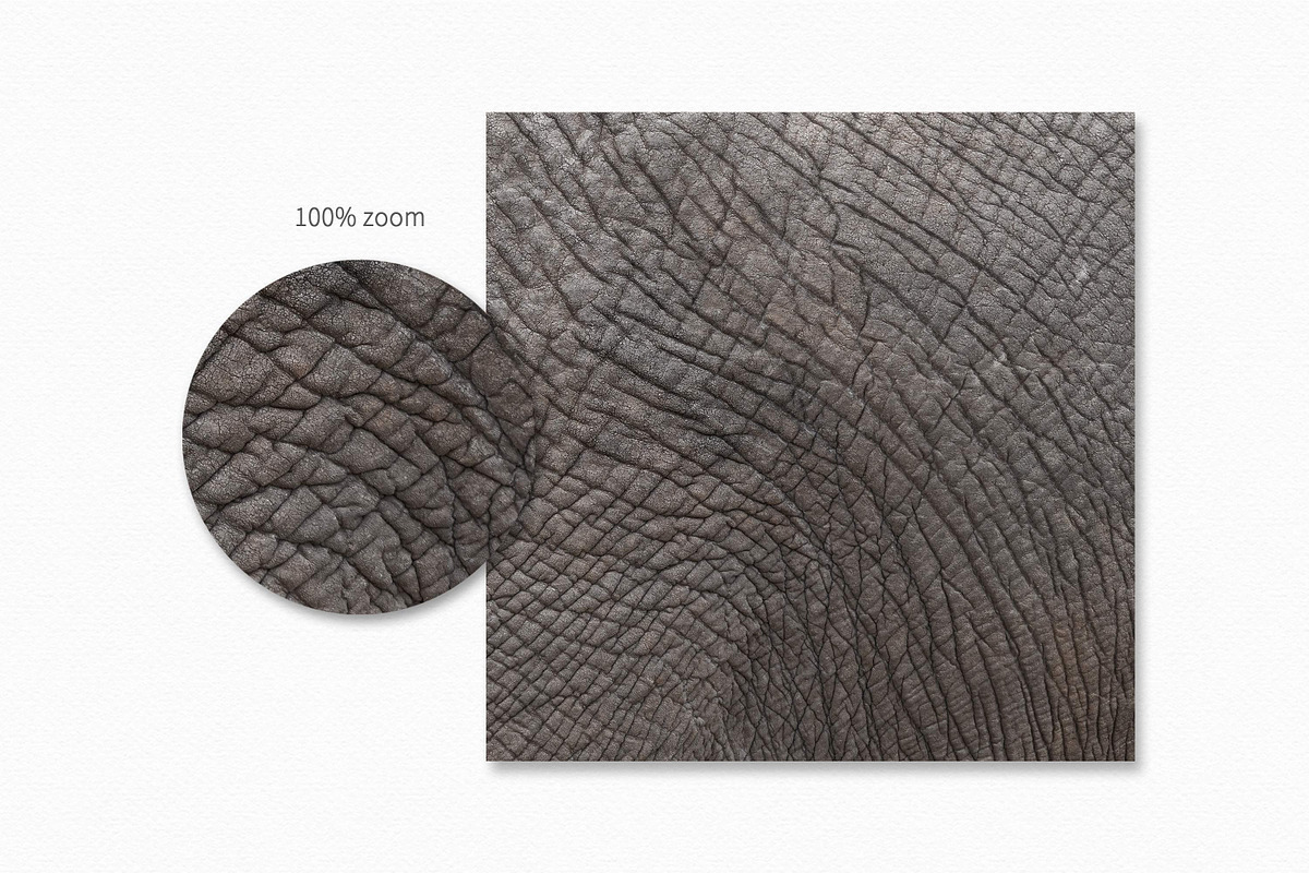 Neutral African Textures, a Texture Graphic by rileyBgraphics (Photo 8 of 8)