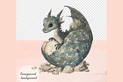 80 Images Fantasy Dragon & Royal PNG, an Object Graphic by ThingsbyLary (Thumbnail 9 of 10)