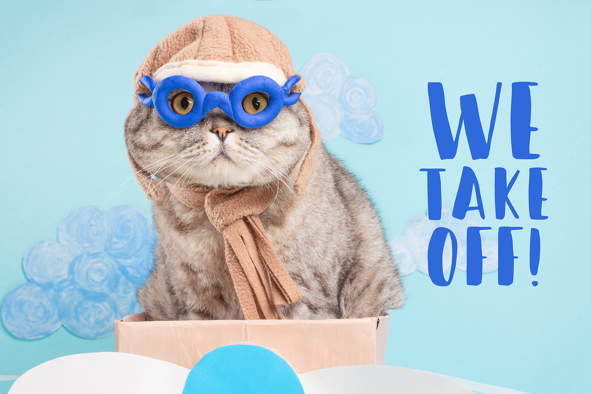 Funny Cat Pilot, an Animal Photo by AnStore (Photo 3 of 3)