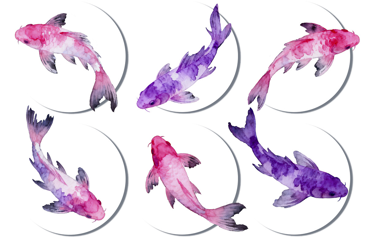 Watercolor Koi Fish, an Animal Illustration by ArtOfSoul (Photo 2 of 6)
