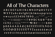 CS Gomez – Modern Serif Font, a Serif Font by Craft Supply Co. (Thumbnail 8 of 8)