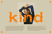 Plateau Font, a Sans Serif Font by Nomad Visuals (Thumbnail 8 of 12)