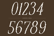 CS Remain Pixel, a Serif Font by Craft Supply Co. (Thumbnail 3 of 8)