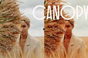 Canopy - Earthy Lightroom Presets, an Action Add-On by Presetrain Co. (Thumbnail 5 of 8)