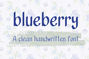 Blueberry Clean Handwritten Font, a Font by Lalava Studio (Thumbnail 1 of 8)