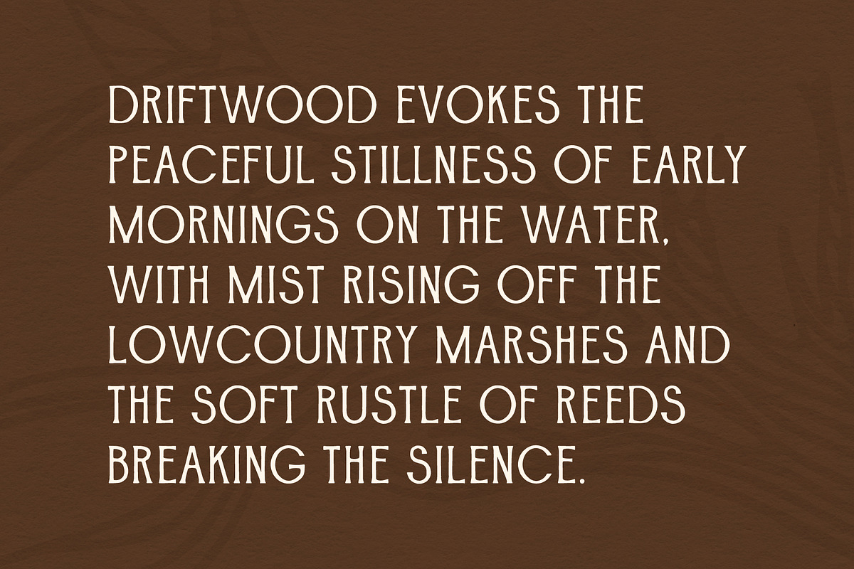 Driftwood, a Serif Font by Fairwren Creative (Photo 3 of 6)
