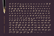 Skayhan Chester Bold Brush Font, a Script Font by Letterena Studios Script (Thumbnail 18 of 20)