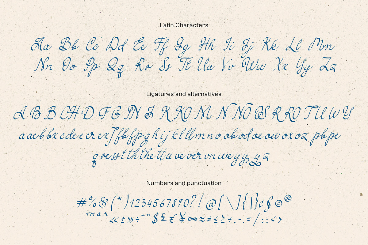 Simple Elegance Script, a Handwritten Font by DesignThatMatters (Photo 13 of 15)