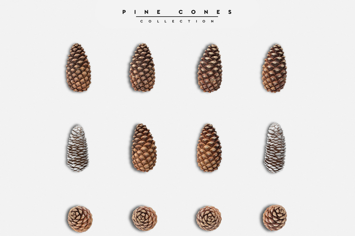 Big Pack Scene Generator, a Cups & Container Mockup by Mila (Photo 18 of 44)