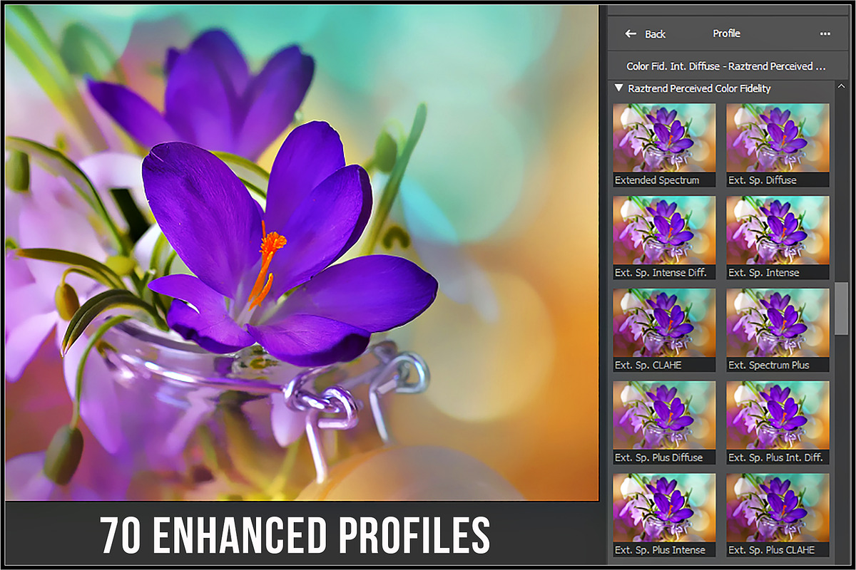 Perceived Color Fidelity profiles, a Plug-in Add-On by Raztrend