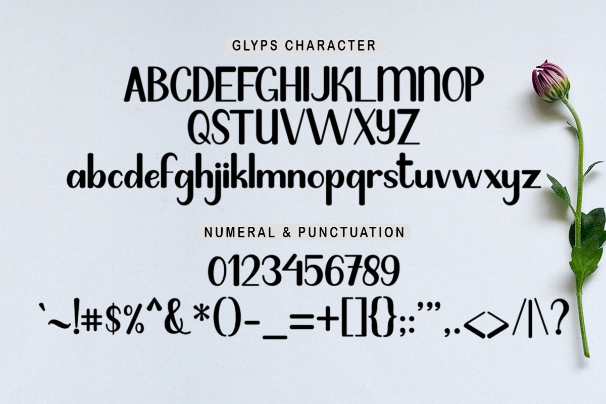 Frenky Missa, a Script Font by Strong.co (Photo 6 of 7)