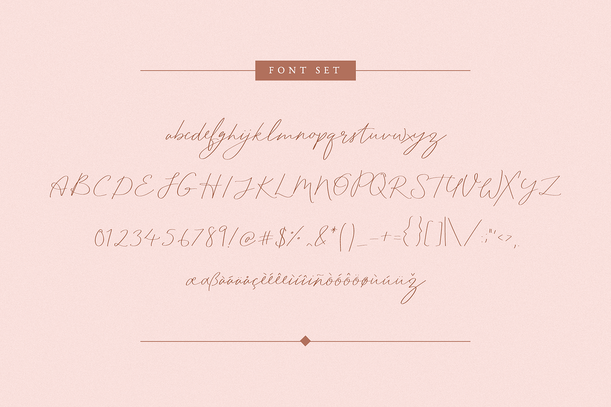 Bloomday Script Font preview 6