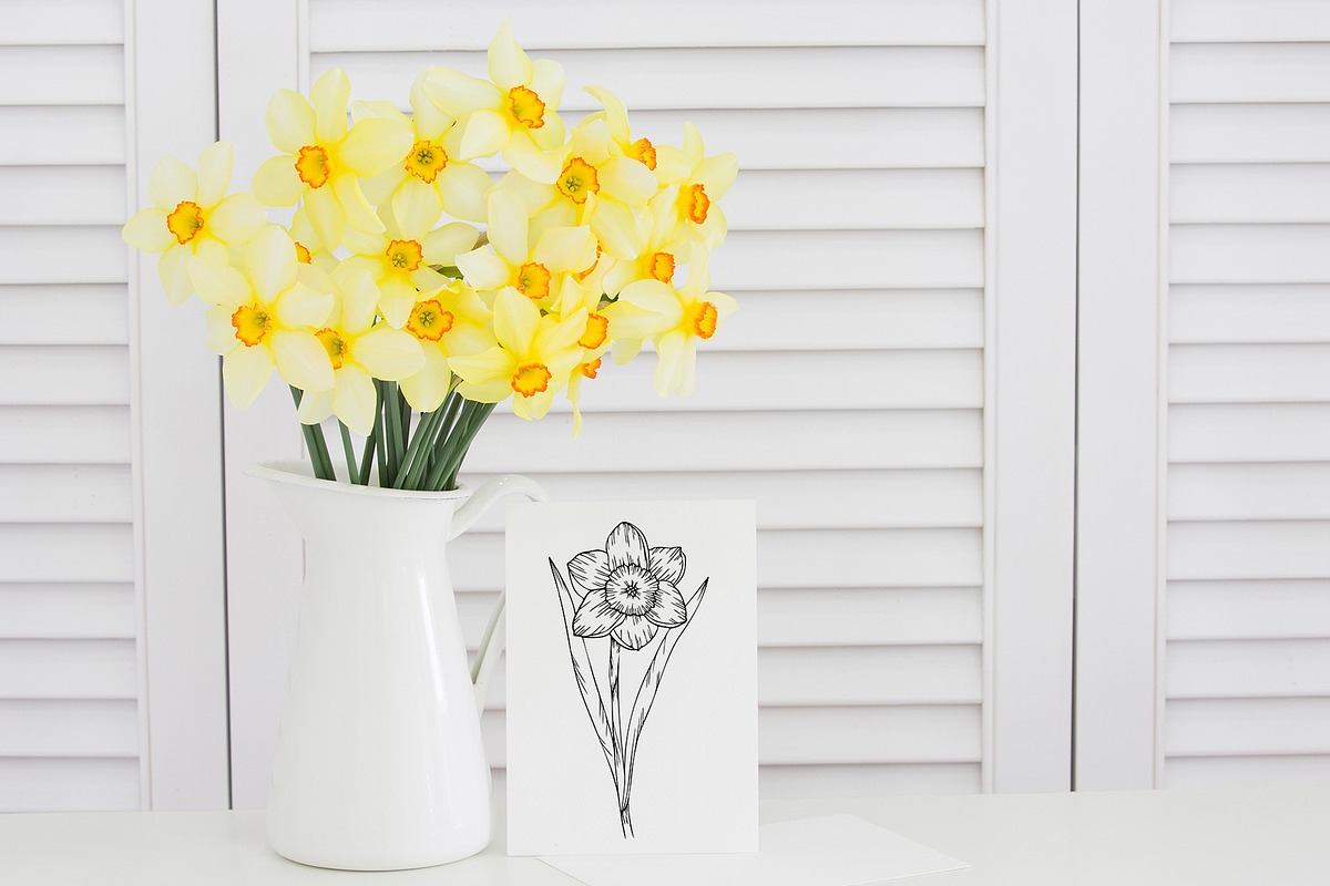 Daffodil flower SVG Line art vector, an Object Graphic by mArtstore (Photo 3 of 4)