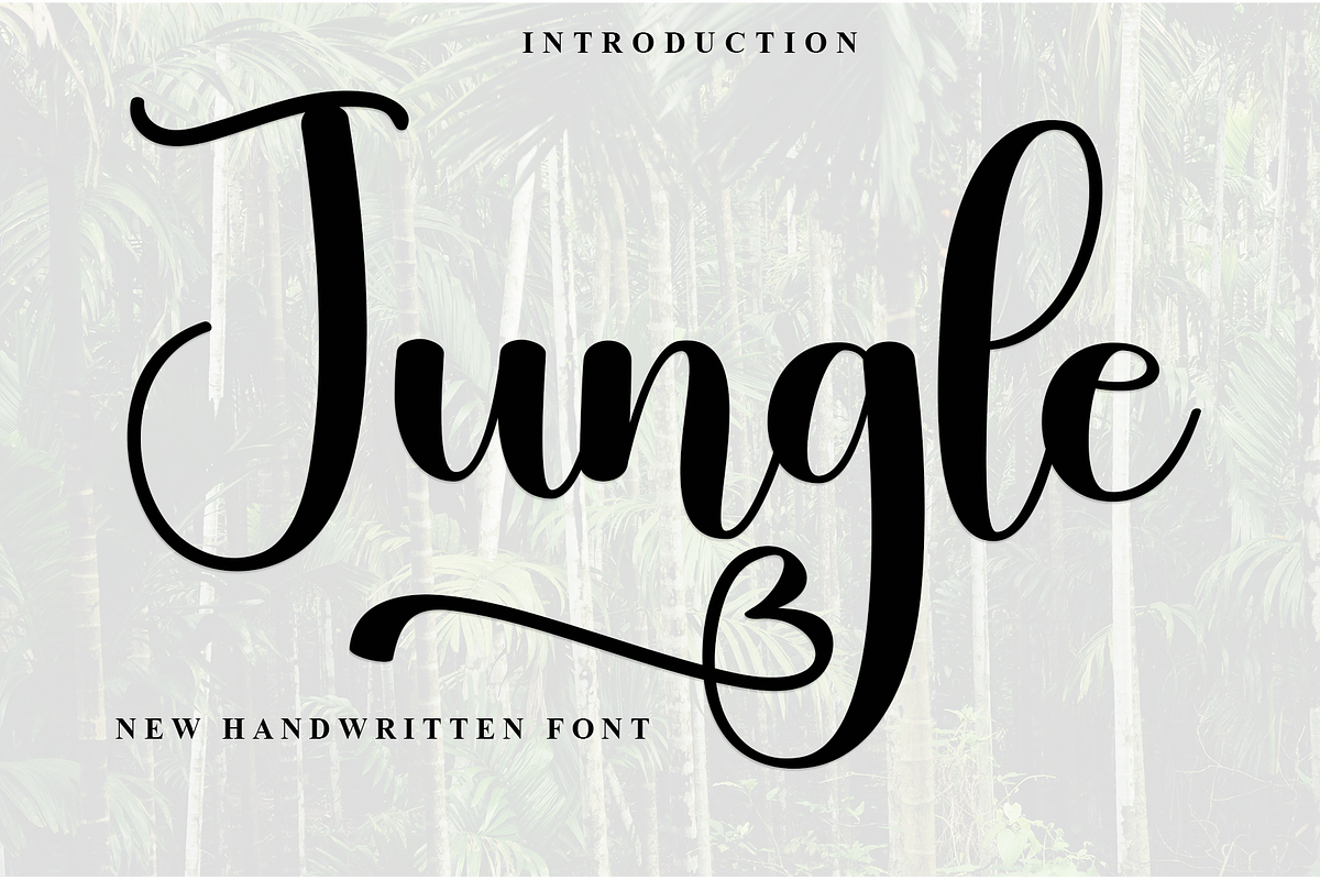 Jungle, a Handwritten Font by InermediaSTUDIO (Photo 1 of 8)