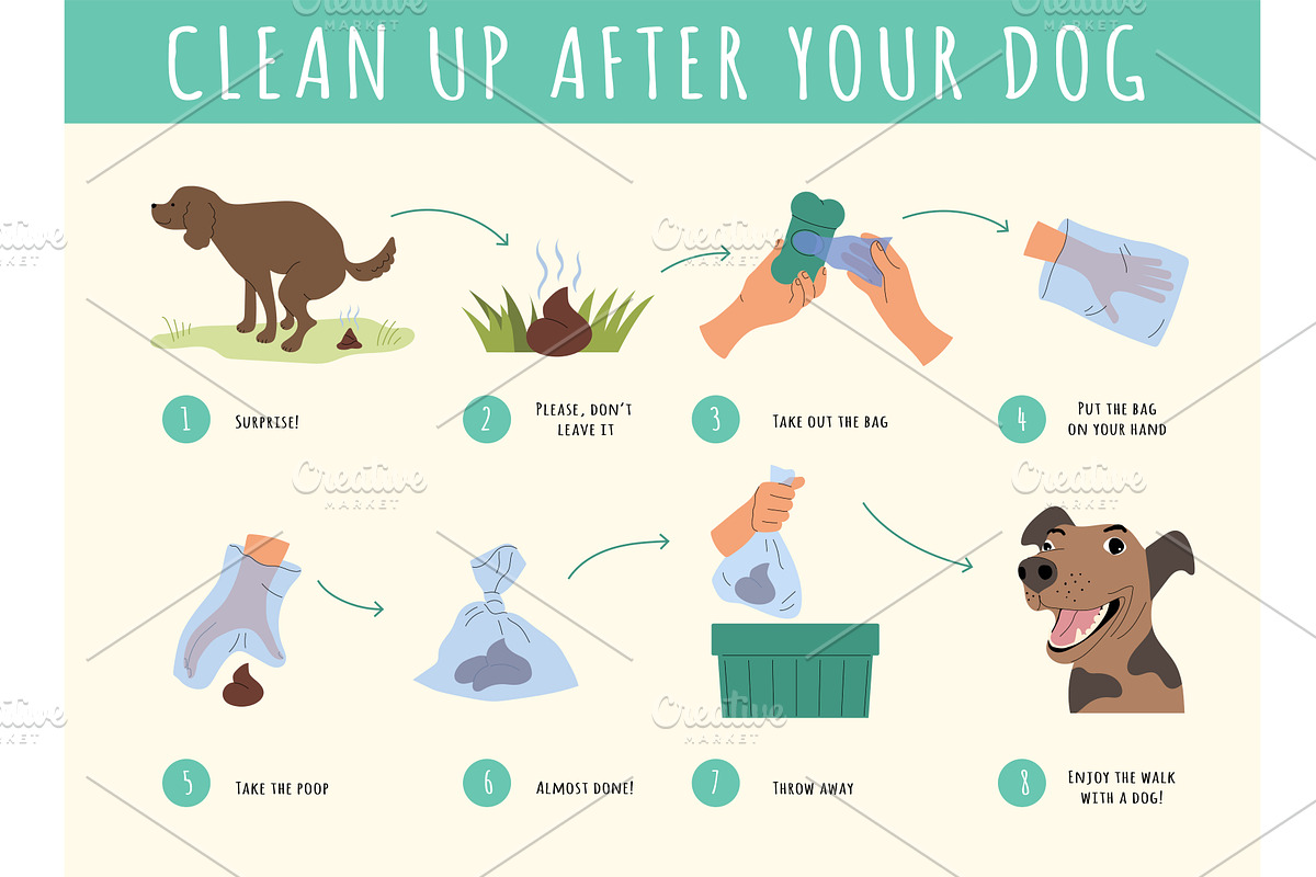 Clean up dog infographic. Pick up, an Animal Illustration by Onyx