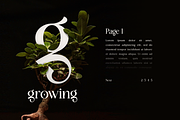 Nigelina - Modern Vintage Serif, a Serif Font by Pixesia Studio (Thumbnail 9 of 16)