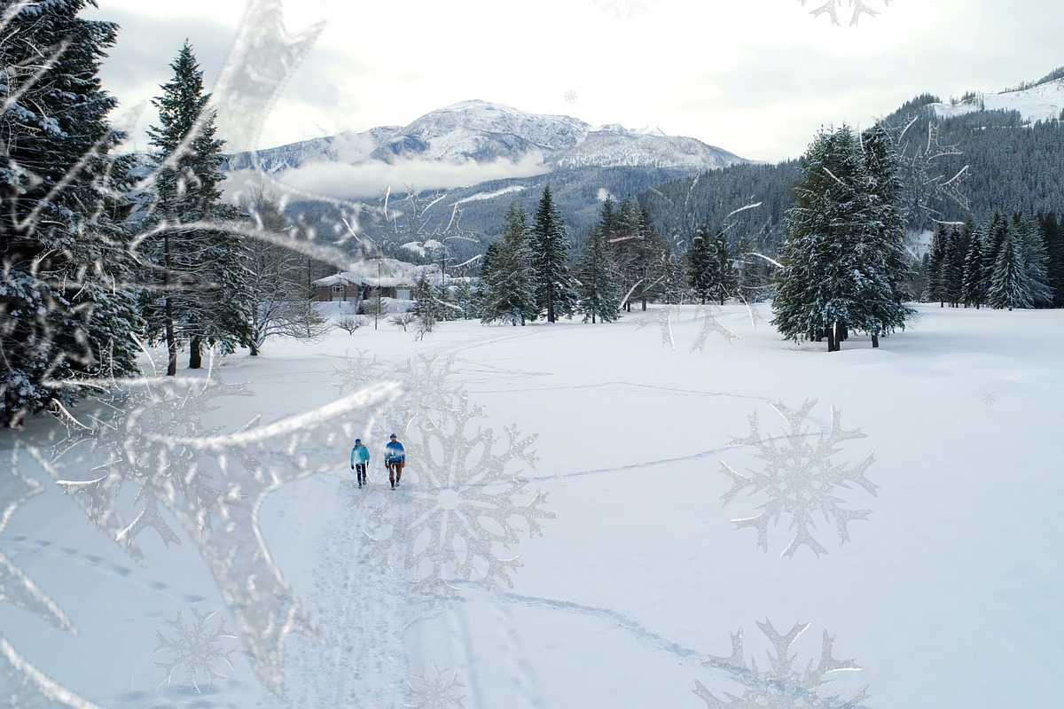 Snow 2 Styles Transitions 1 AEP, a Branding & Logo Template by Josep Motion (Photo 2 of 2)