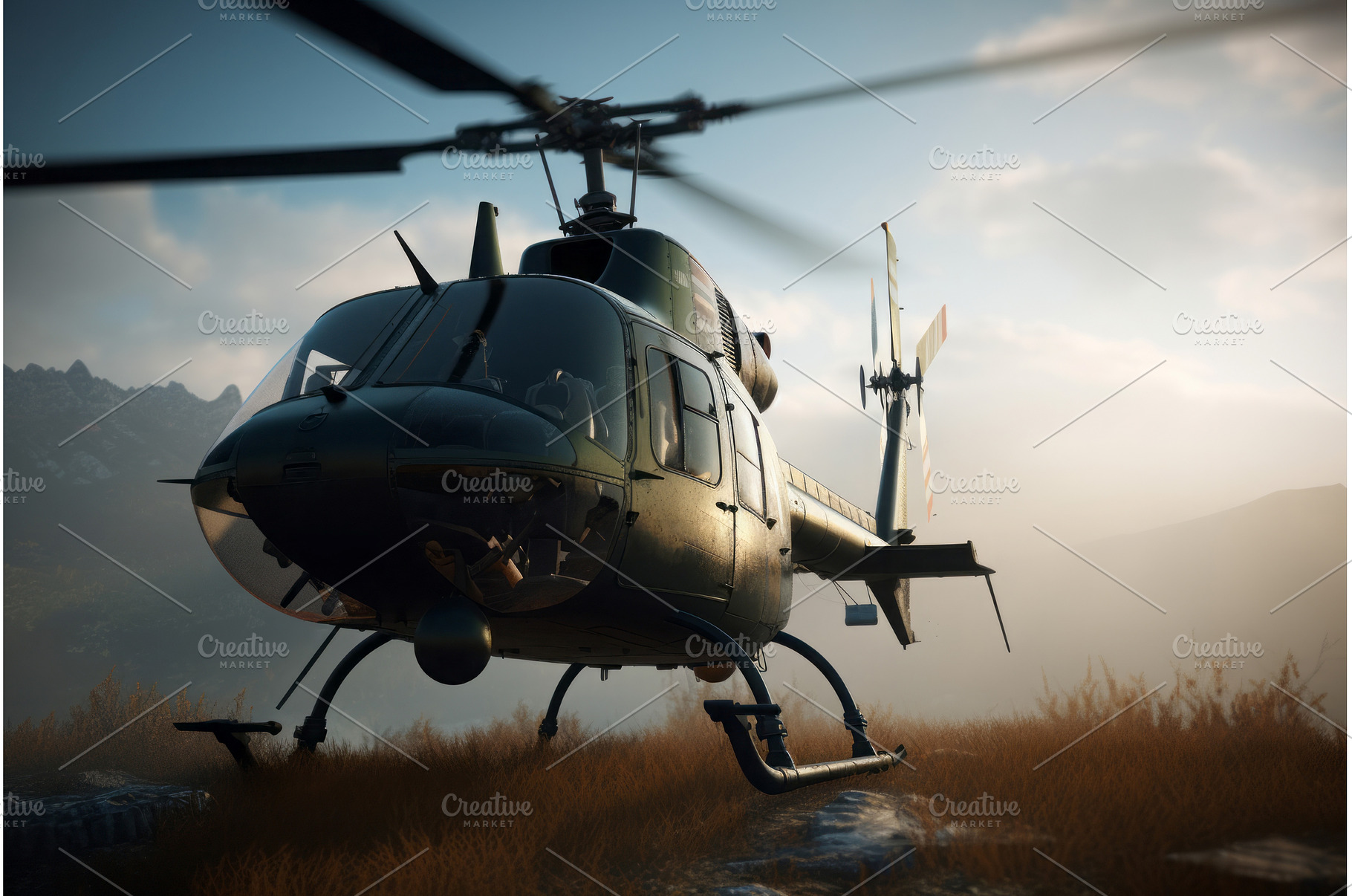 Helicopter landing on field, a Transportation Photo by Ylivdesign