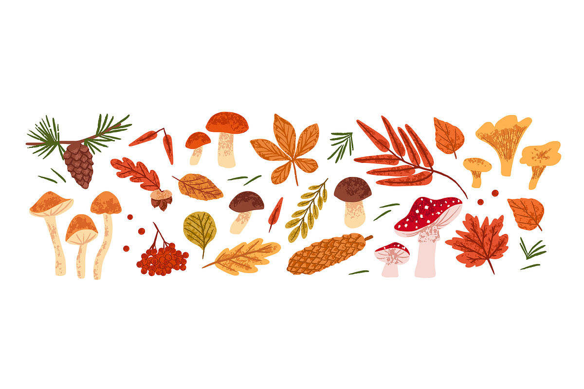 Autumn forest nature, dry leaves set, a Seasonal Illustration by PaperTrident (Photo 2 of 6)
