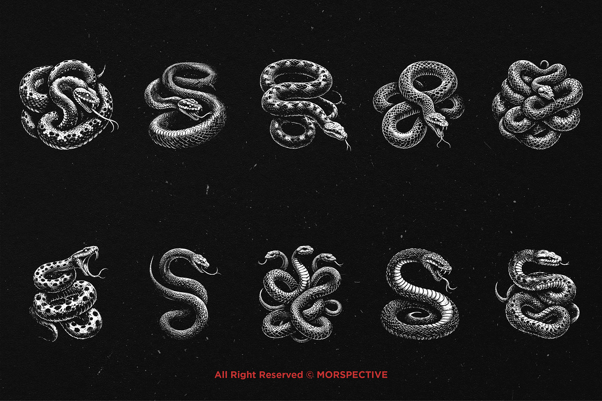 10 Bundle Dark Art Python Snake, an Illustration by Morspective (Photo 6 of 7)